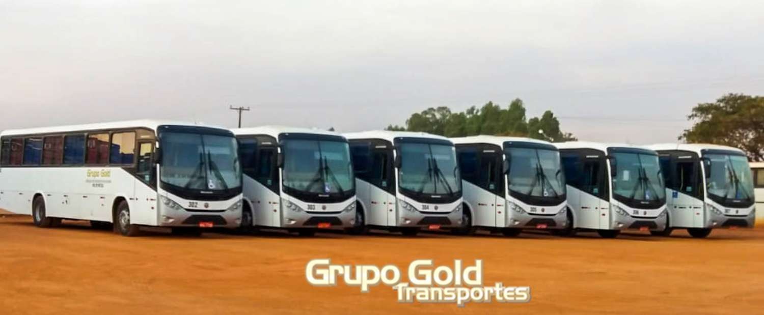 Frota Gold Transportes